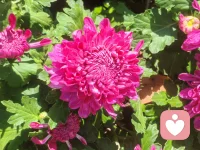 只有方向對了，結果才能對。配圖