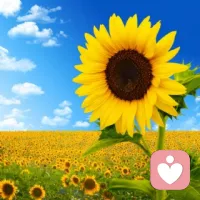 人生的結(jié)果我們無法100%掌控，但面對人生的態(tài)度，我們永遠(yuǎn)有選擇權(quán)。配圖