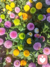 管住嘴，邁開腿
節(jié)日快樂奧配圖