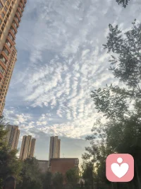 人生无处不催眠
重复做正确的事情，发现内耗温柔慈悲的回来
㊗️大家节日快乐配图