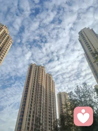 今天讀到這句話，很有感觸，分享大家??????
一步艱難，一層青天；
步步阻攔，步步青天。
阻礙是上帝對你的偏愛，他是想送你你做夢都不敢想的幸福，
他又擔心你德行不夠，兜不住，先把你錘煉出來。
再想西游記為何會有九九八十一難
苦難是一筆寶貴的財富，百煉成鋼，你得用好它??配圖