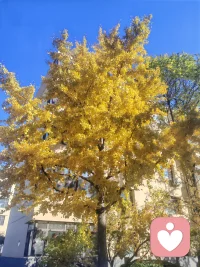 ??美好的一周開始了

今日分享

【拴住這頭牛】

修心如拴牛，怎么讓牛不到處亂跑？要找東西把它拴住。跑了就拉回來，繼續拴住；再跑就再拉，再拴住。當牛習慣這種狀態，即使不拴，也不會亂跑。

周一吉祥??????配圖