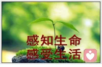 工作、生活、学习……没有义务给你带来快乐，但你要学会快乐地工作，学习，生活……配图