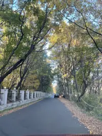 幸福是一种心理状态。它不流于表面，而是存于你的内心