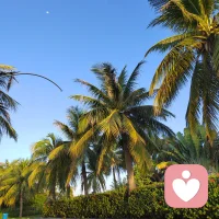 人與人之間互相理解，真的是一件挺難的事情，坦誠布公地講出彼此的想法和感受，能理解多少算多少！配圖