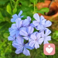 只有設身處地從對方的角度去考慮，才能讓彼此更好地溝通和交流，也能讓關系更和諧融洽！換位思考，真的很重要。有時候，我們需要借助咨詢師的視角去看自己當下的問題和困擾。配圖