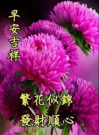 [太陽]尼采說，其實人跟樹是一樣的，越是向往高處的陽光，它的根就越要伸向黑暗的地底。

向上不易，卻充滿魅力；向下容易，卻掉落深淵。

高處的陽光和成長后的覺醒，是對黑暗地底下的根最好的慰藉。

每一次機會砸到頭上的快感就是對孤獨時的堅守最好的獎勵。

正如《向上生長》一書中寫到：

“抓住每一次出現的機會，擁有一條一路向前的人生路徑。”

早安，與您共勉[玫瑰][太陽]配圖