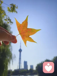 發現秋天的美配圖