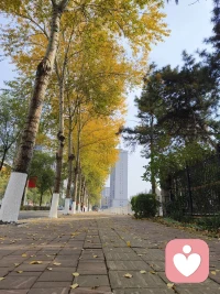 在變老的路上，少一點“唉聲嘆氣”，多一點“喜笑顏開”，看清生活的真相之后，依然熱愛生活。配圖