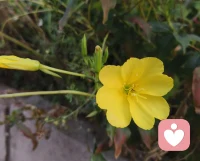 生活不在別處，此刻即是全部。配圖