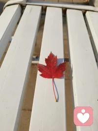 豐富自己，
比取悅他人更有力量~配圖