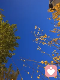 真正的發現之旅不在于發現新景致，而在于采用新眼光。——馬塞爾·普魯斯特（法）配圖