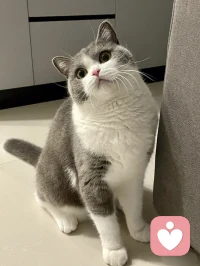 雨會停，天會晴，沒什么會一直糟糕透頂。
無論今天怎樣，腳踏實地生活，總有美好的事情慢慢發(fā)生……
早安！配圖