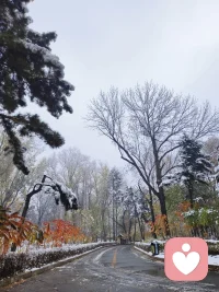 在冬天的寒冷中，我们可以感受到生命的顽强和坚韧。配图