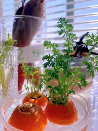 你好三月配圖