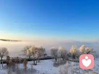 萧索的冬季也有美丽的高光时刻