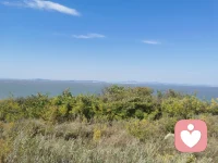 不管什么年紀，
   別辜負最好的自己！
 “我不會”? “我可以學”
? “我不敢”? “我可以試試”
   不要自己限制自己，
   嘗試?總比永遠不敢開始要強！
  早安配圖