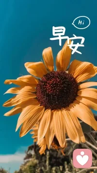 余生路漫漫，
總會有不期而遇的溫暖，
要相信，
人總會要經歷一些滄桑苦難，
才能活出自己的云淡風輕。

如果你感覺到累了，
那說明你在走上坡路，
那就暫時歇歇腳，
看看身邊的風景。配圖