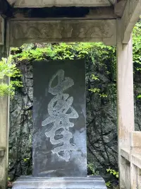 越努力越幸運！這其實是人生發(fā)展的真相，因為只有比別人更努力，才能爭取到更多的發(fā)展機會。努力的人生是值得期待的，充滿著希望的人生。配圖