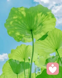劍永遠是思想的手下敗將。配圖