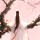 静柔