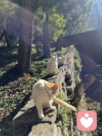 下班回家的感覺才是自己的生活，享受歲月靜好的時光配圖