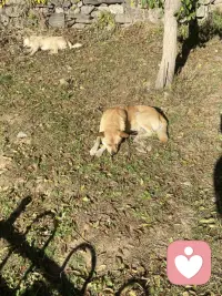 下班回家的感覺才是自己的生活，享受歲月靜好的時光配圖