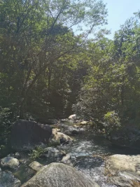 存在即合理
在這里，你就是最真實的你
沒有評判，標簽，
只要敞開心扉去探索
每一人都可以找到屬于自己內在的真善美。配圖