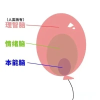 想想你的煩惱如何控制自己的情緒的 ，使用好這人類獨有的功能，就可以價值最大化。去試試當他們串門過度，就是無界限感時會怎樣？配圖