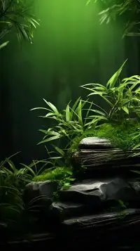一個人的實質，
不在于他向你顯露的那一面，
而在于他所不能向你顯露的那一面。
因此，如果你想了解他，
不要去聽他說出的話，
而要去聽他的沒有說出的話。
我說的話有一半是沒有意義的；
我把它說出來，
為的是也許會讓你聽到其他的一半。配圖