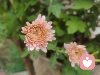 人生是一個曲折漫長的旅程，旅行的，目的并不是達到終點，而是領略和感受路上的風景。配圖