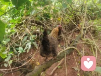 日子，要的是知足；生活，要的是幸福；生命，要的是健康；做人，要的是骨氣；做事，要的是盡心；人生，要的是無悔。珍惜身邊的幸福；欣賞自己的擁有。配圖