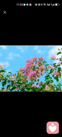 現在網絡詐騙，用AI技術，用大數字技術，厲害的很，上網絡就不能沒有防騙心理。配圖