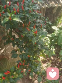 別人待我如何，是我的因果；我待別人如何，是我的修行。配圖