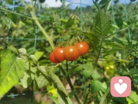 當一個人撐過了太多，就真的什么都不期待了。有時候念念不忘的，不一定是愛情，而且自己的回憶和執著，放下兩個字，太簡單又太難。終有一天你會明白，你對人情事故的每一份通透，對愛來愛去的每一份豁達，都是曾經用無數次失望換來的。 時間是個矢量，碎在身后便永無更改，你只能聽任一地琉璃傾瀉，卻回不了頭，伸不出手去挽留什么，只能靜靜聽它落入心底，碎落身后。我們都只有一個人生，不能慷慨贈與不對之人! 其實成長路上最痛的一課，是那個你最信任并且從未防備過得人，卻對你開了最猛的一槍。那些不夠上心的懈怠，那些不可逾越的山海，終究都是因為不夠愛。到后來你會發現，其實一直陪著你的，都是那個了不起的自己。 讓心慢慢歸零，不取悅誰，不為難誰。配圖