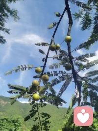 認清自己，過好當下，才能享受這一生，
除了生病以外，你感受到的痛苦都是你的價值觀帶來的，而非真實存在。
不必站在50歲的年紀，悔恨30歲的生活，也不必站在30歲的年紀，悔恨17歲的愛情，
我們不能站在后來的高度，去批判當年的自己，這不公平。
如果重來一次的話，以當時的心智和閱歷，還會做出同樣的選擇。
學會和自己和解吧，去接受每一個時期的自己。配圖