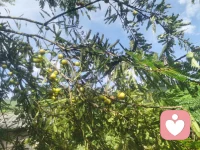 今天，陽光明媚，微風不燥。我走在小路上，路旁的野花開得絢爛多彩。遠處的小山丘上，綠樹成蔭，風景宜人。我不禁放慢了腳步，心情也隨之舒暢起來。這一刻，我感受到了生命的美好，也明白了快樂的真諦：快樂來源于內心的平靜與感悟。讓我們一起享受此刻美好的時光，沉淀內心，治愈心靈。生活雖然短暫，但每個時刻都值得珍惜。配圖