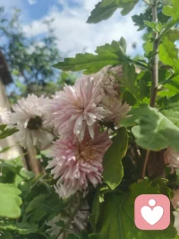 此時的你，迷茫、無奈、痛苦
不用怕，關注私信我
我會陪伴在你身邊
聽你傾訴，為你解惑配圖