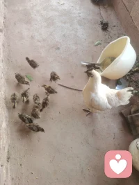 人到中年，父母雙全，身體健康，家庭和睦，稍有存款，便是很大一部分人羨慕不來的幸福。配圖