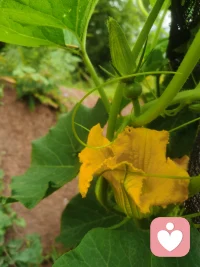 理解自己的需求和愿望是個人成長的關鍵。

可以嘗試以下方法：
1. 反思：分析過去的經歷，了解自己的成就和遺憾，找出內心的真實需求。
2. 傾聽：傾聽家人、朋友和同事對自己的評價，了解他們在乎的是什么。
3. 探索：嘗試新事物，如參加社交活動、學習新技能，找到激發自己熱情的領域。
4. 自我對話：定期與自己對話，了解內心的期望和需求。
5. 設定目標：根據自己的價值觀設定短期和長期目標，有方向地努力。
6. 心理咨詢：尋求專業幫助，深入探討內心世界。
最重要的是，給自己時間和空間去了解自己，成為更好的人。配圖