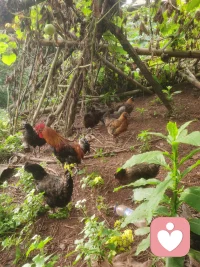 八萬四千法門，盡由一心而起。若心相內(nèi)凈，猶如虛空，即出離身心內(nèi)八萬四千煩惱病本也。配圖