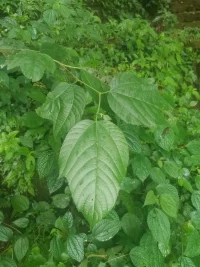 你是誰，便遇見誰
?記住愛，忘記恨
?心中有天地，便能與萬物同在配圖