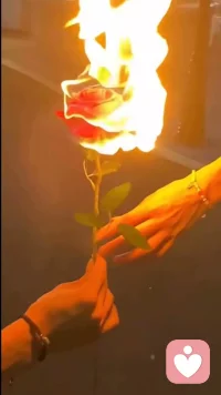 我的青春，腐朽又絢爛。配圖