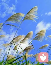 傾聽的力量
《窗邊的小豆豆》里有這樣一個細節：
小豆豆第一次去幼兒園，校長先生讓她做的第一件事，就是講講自己，講什么都可以，講多久都可以，豆豆這一講竟然講了4小時，講到吃中飯，才停下來。
小豆豆感到生平第一次，遇到了自己真正喜歡的人，因為從出生直到現在，從來沒有一個人這么長時間地聽她說話。
原本擔心到了學校會被冷眼相看的小豆豆，因為有一個能聽自己說話的校長先生，而感到安心和溫暖。
她感慨道：“能永遠和這個人在一起就好了?！?這就是傾聽的力量。
向關心的人表達善意和同理心，傾聽是最好的一種方式，它也是成年人進入孩子心理世界的鑰匙。配圖