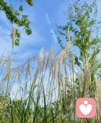 真正的自信是，有勇氣敞開心扉去歡迎新的變化和想法，不管它們來自何方。真正的自信源于你的思維方式，你已經做好了成長的準備。配圖