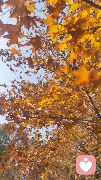 這個世界既不是有錢人的世界，
也不是有權人的世界，
而是有心人的世界。
心中有愛，
看什么都是美景。配圖