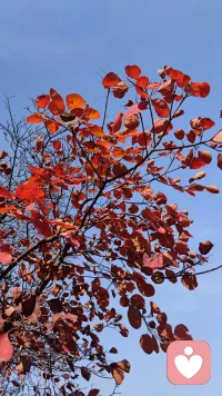 這個世界既不是有錢人的世界，
也不是有權人的世界，
而是有心人的世界。
心中有愛，
看什么都是美景。配圖