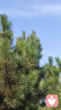 這個世界既不是有錢人的世界，
也不是有權人的世界，
而是有心人的世界。
心中有愛，
看什么都是美景。配圖