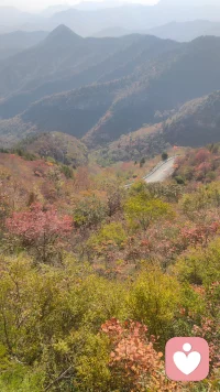 這個世界既不是有錢人的世界，
也不是有權人的世界，
而是有心人的世界。
心中有愛，
看什么都是美景。配圖