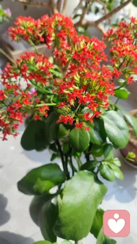 在生活中讓他人認可你的原則:
不要與他人爭論
尊重他人的意見
學會認錯
從友善待人開始
試著讓對方說“是”
給對方說話的機會
讓別人與你合作
學會換位思考
了解他人的需求
激起他人高尚的情操
對固執的人用激將法配圖